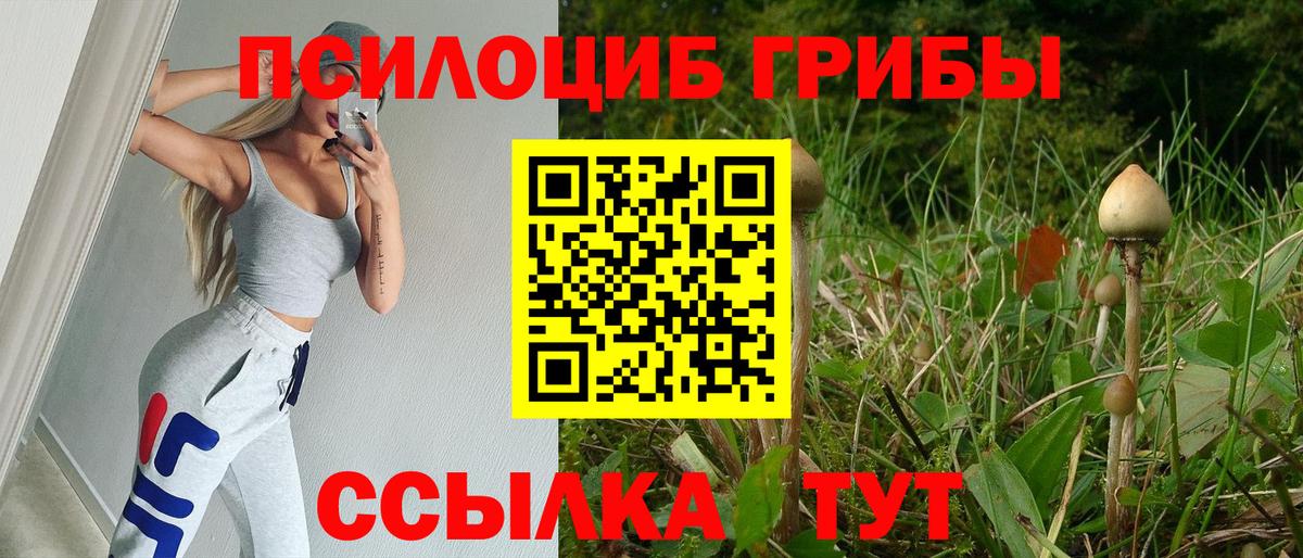купить наркоту  Галлюциногенные грибы мицелий  Вход с VPN  Псилоцибиновые грибы мицелий  Городец 