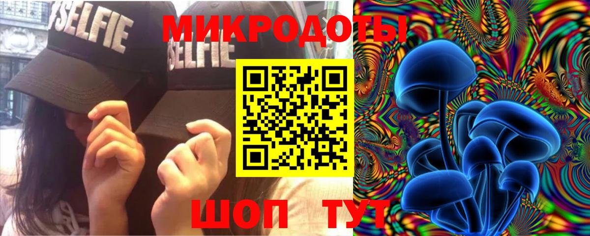 хочу наркоту  Галлюциногенные грибы MAGIC MUSHROOMS  Городец  Галлюциногенные грибы мицелий 
