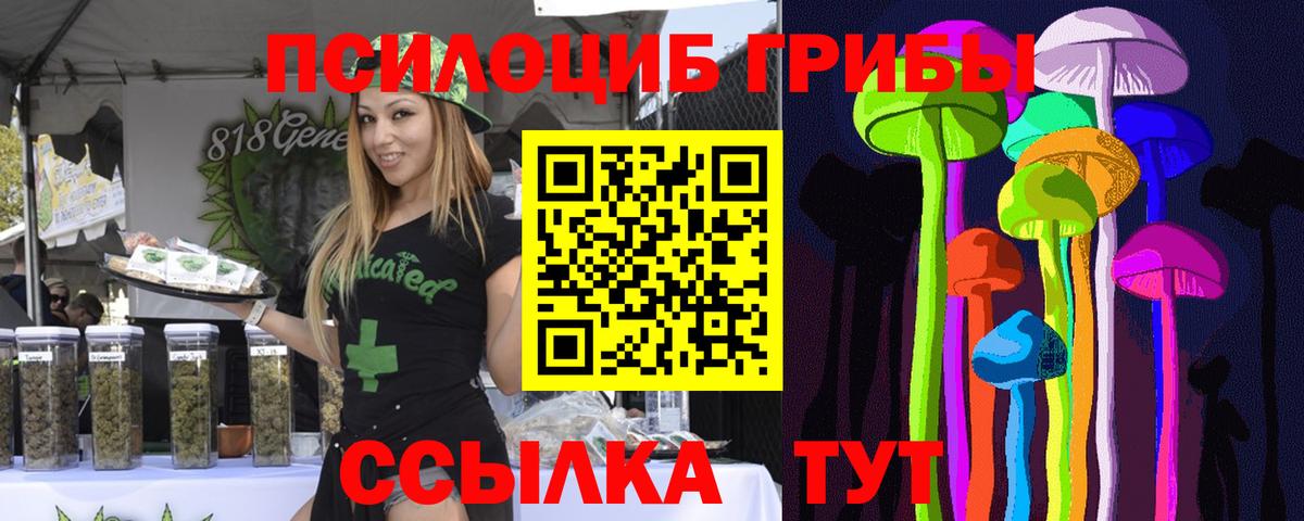 Псилоцибиновые грибы Psilocybe Городец